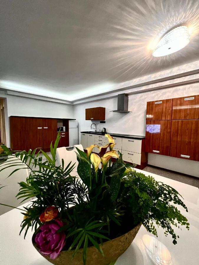 Koliba Apartments 2 布拉迪斯拉发 外观 照片